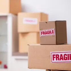 Packing & Logistics